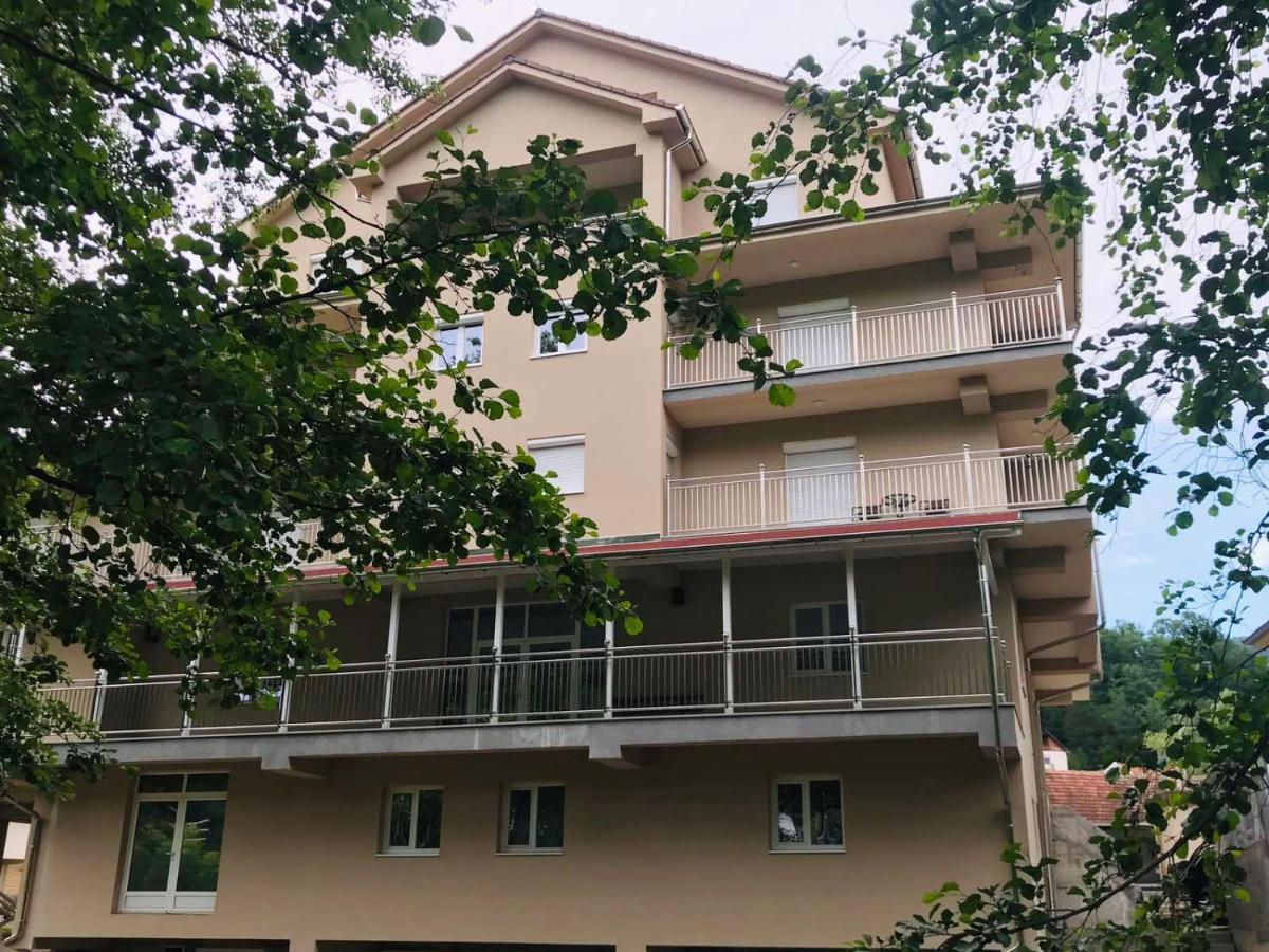 Josanicka Banja Apartmani & Spa Matin Breg מראה חיצוני תמונה